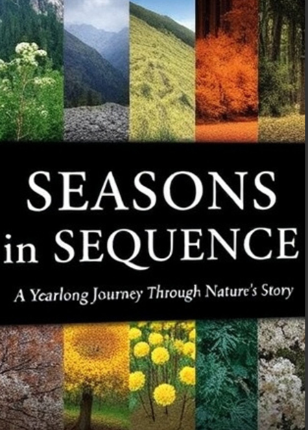 Seasons in Sequence  
