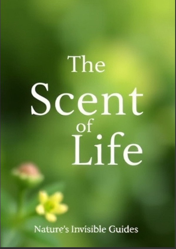 The Scent of Life Nature's Invisible Guides