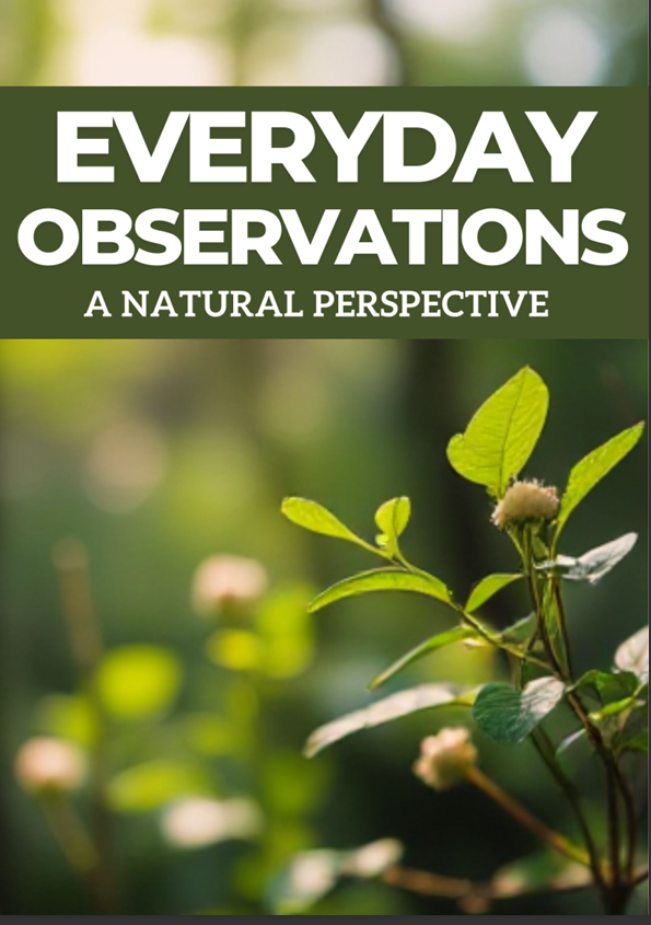 Everyday Observations A Natural Perspective